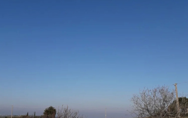 Stay at the Boschetto