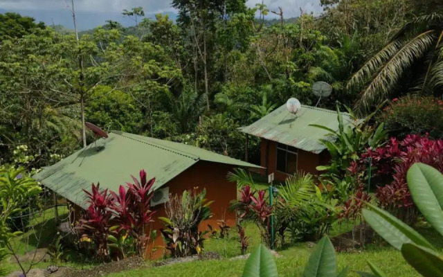 Mirador Osa