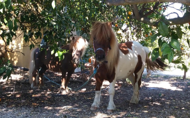 Quinta Vita - Vila Uva