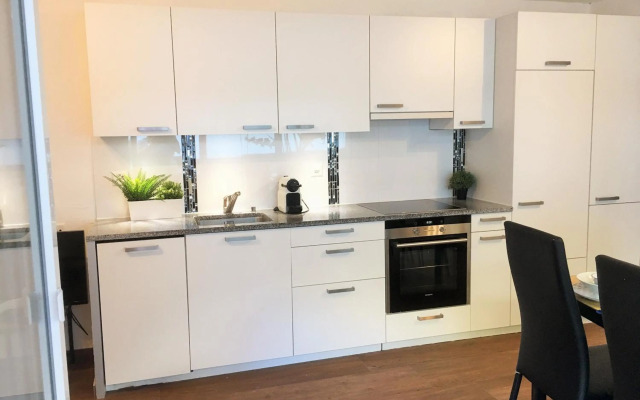 Apartments Steinbock