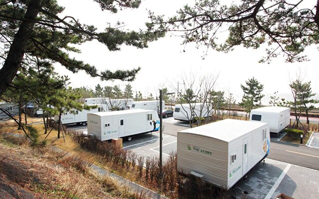 Yeongjongdo Seasidecaravan Camping Place