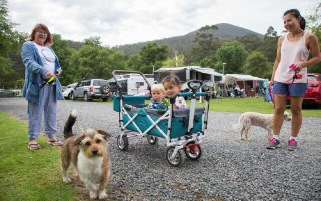 Warburton Holiday Park