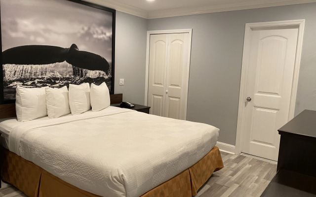 Aura Inn Monterey