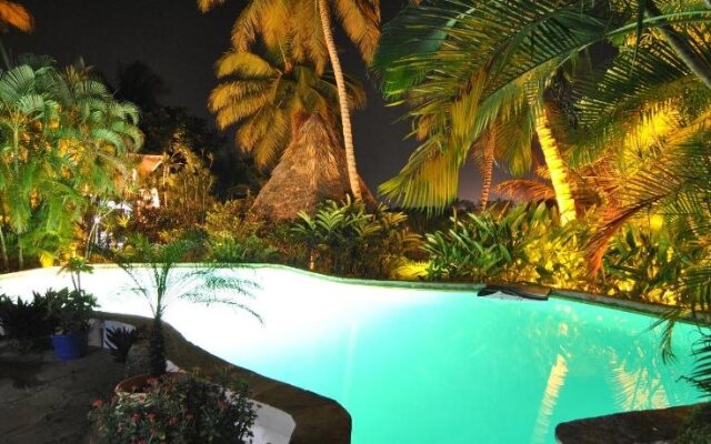 Cabarete Surf Camp