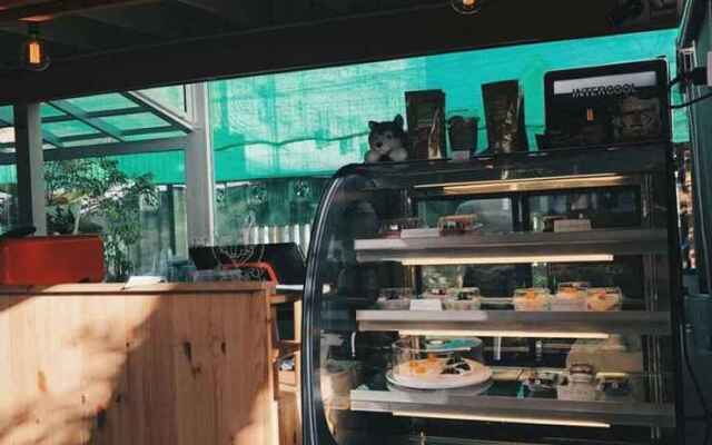 Moon Fox CaféInn Art & Gallery