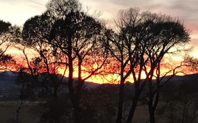 Eycat Lodging Company