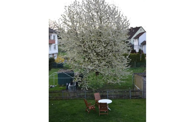 Ferienwohnung am Rande Kassels