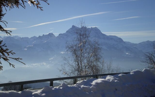 Castel Club Leysin Parc Resort