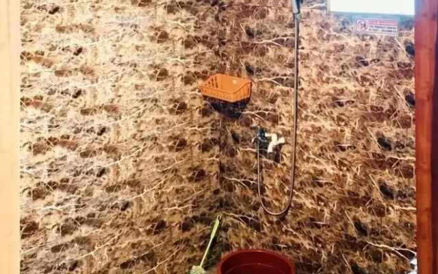 Padangsari Cabin 2