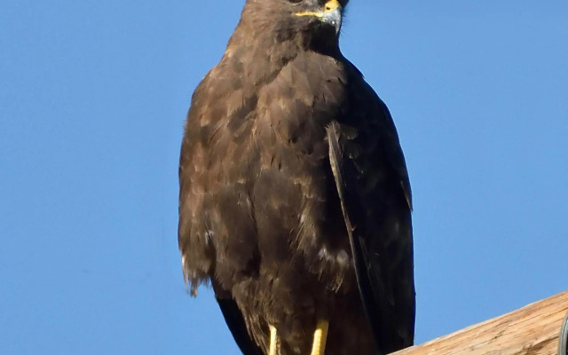 Sneeuberg Nature Reserve