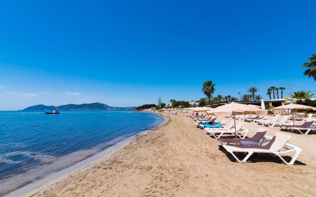 FERGUS Style Punta Arabi