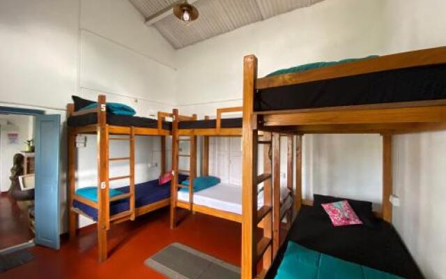 The Birdhouse Backpackers Hostel