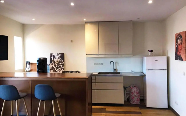 Safran flat with 2 large terraces Central Location