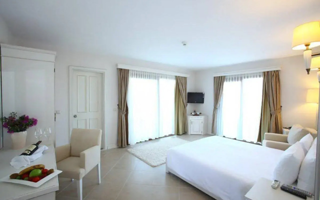 Temenos Luxury Hotel & Spa - Boutique Class