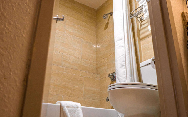 Quality Inn & Suites near Six Flags - Austell