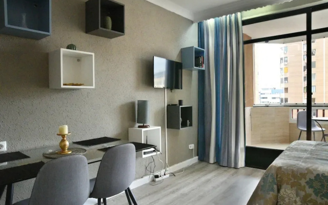 Palmeras Studio 88