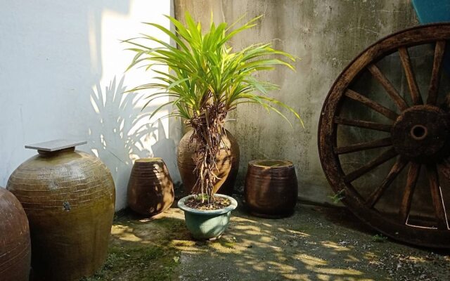 Formosa Backpackers Hostel & Apartment（青年民宿）