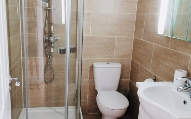 Lovely and Spacious House in South London
