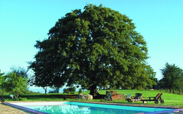 Azienda Agrituristica Le Macchie Alte