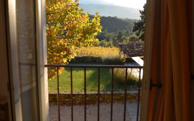 La Couleur des Vignes