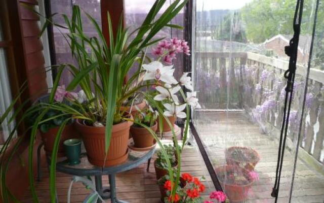 Wisteria Lodge Bed and Breakfast