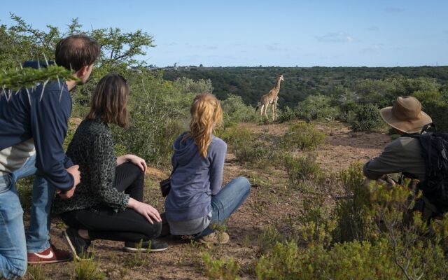 Elephants Lodge - Bellevue Forest Reserve