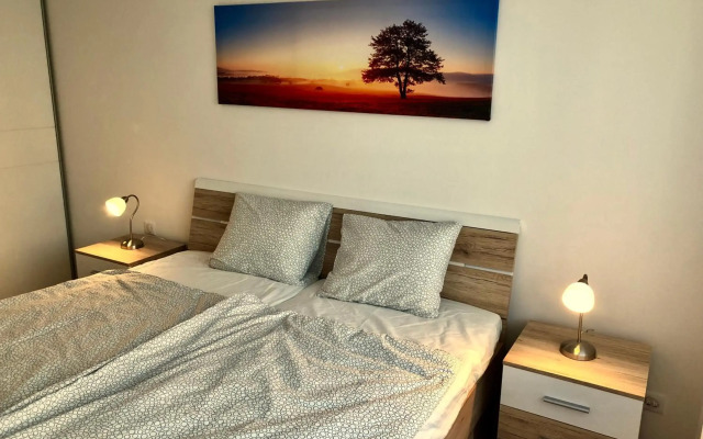 House of Beer - Stein