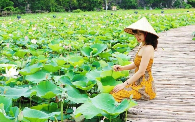 Tam Coc Craft Homestay