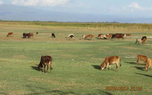 Liben Lodge & Resort