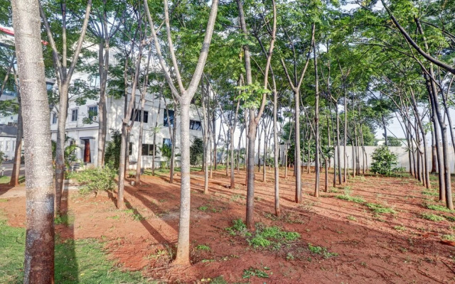 Treebo Trend Grand JP Inn