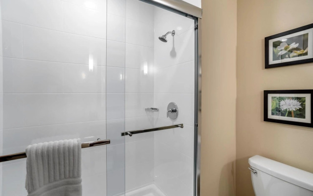 Comfort Inn & Suites Winchester