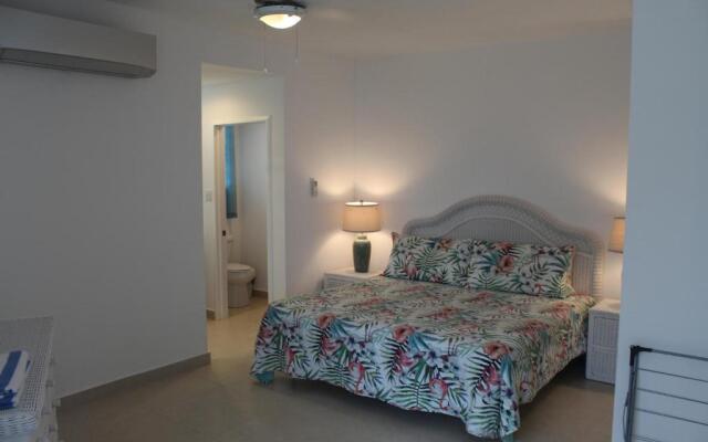 The Horny Toad Guesthouse