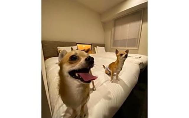 ICI HOTEL Asakusabashi - Vacation STAY 69309v