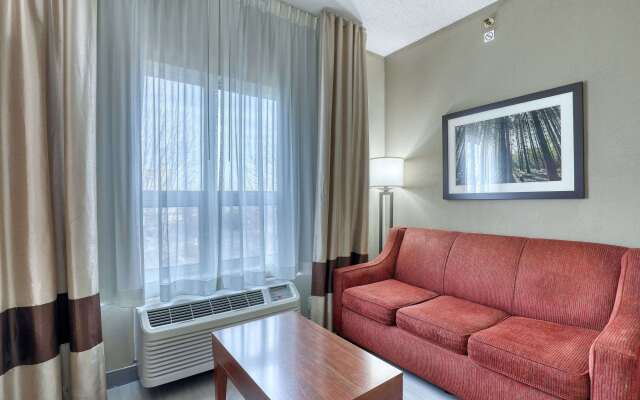 Comfort Suites Madison West - Middleton