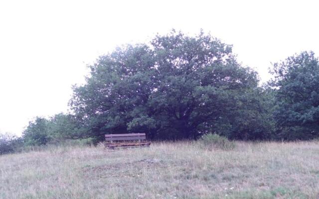 "Haus Schloss Fürstenberg"