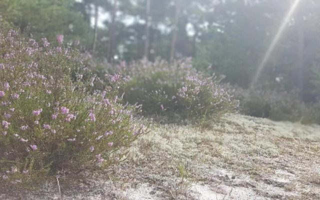 Blue Marine Apartament 19 z tarasem