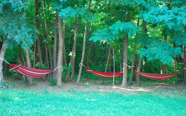 Palazzo Conforti Tree House Resort