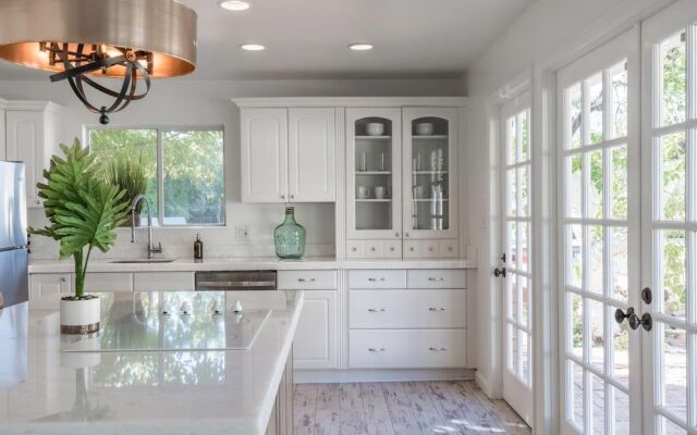 Exeter - Agave in Phoenix