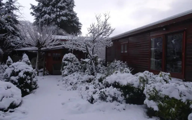 Veluwe Park Reewold Chalet Infinity