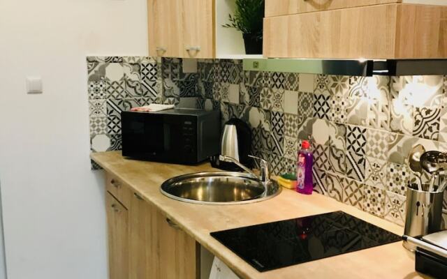 Cismigiu Studio Apartments
