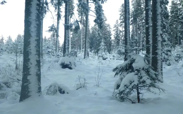 Gästehaus Hundelbach