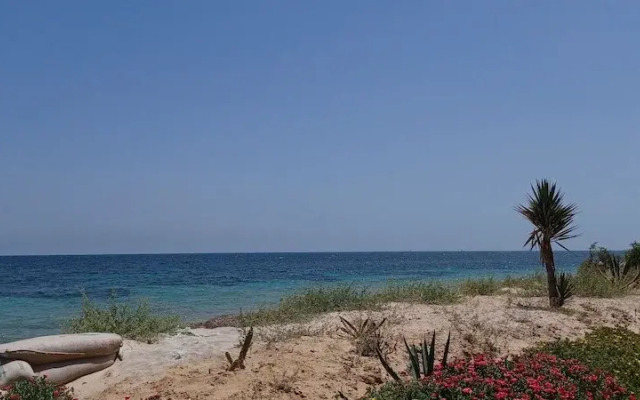 Beach Front Luxury Living Apartment