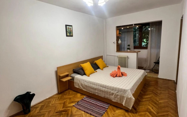 Miha modern and central apartament Malul Mureșului