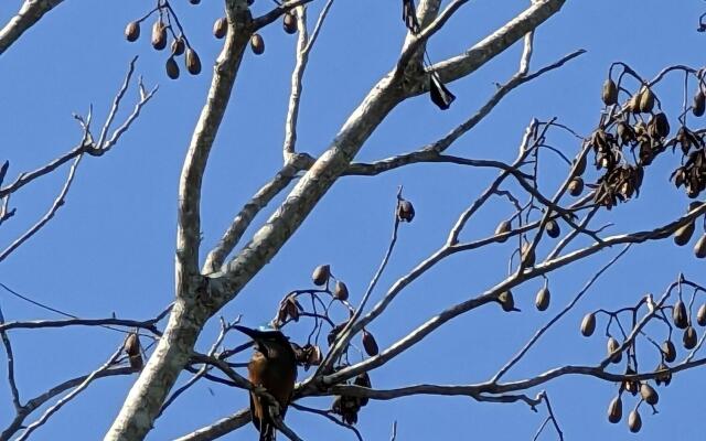 The Blue Eco Lodge - Adults only