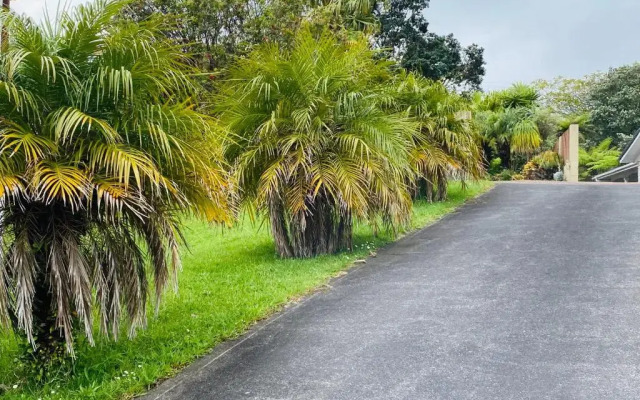 Delight at Mt Roskill
