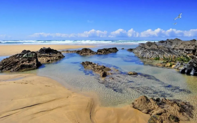 Holiday Home Lavender