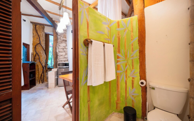 Condo with private cenote on 5Av - Sacbe