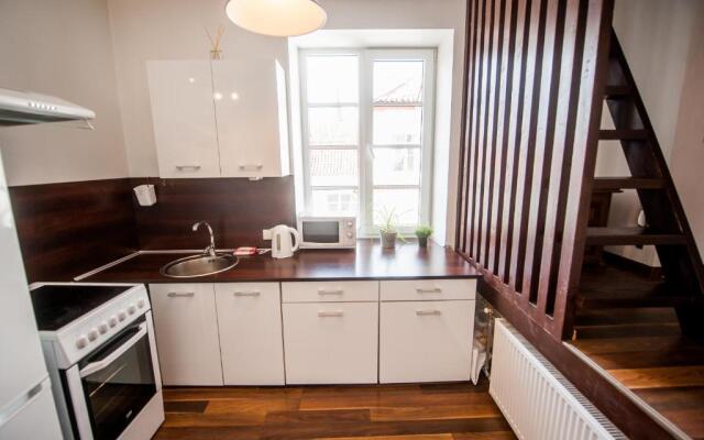 V 12 -Terrace + 3 rooms apartment Vilnius Old Town