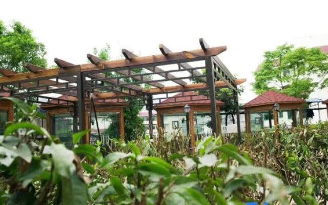 Gold Tea Is Pieasing Fashion Hotel