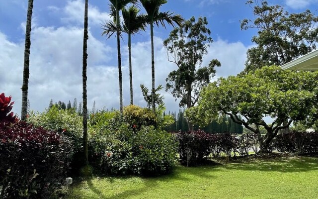 Plantations 111 by RedAwning